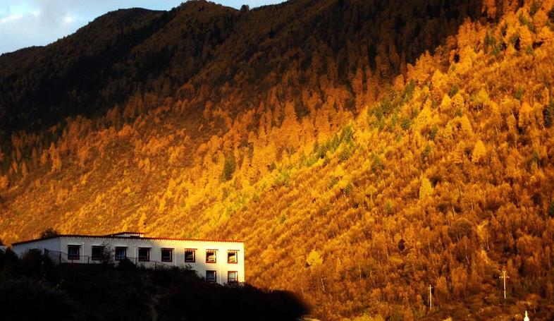 成都、四姑娘山、長(zhǎng)坪溝3日自駕游